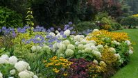 How To Create a Perennial Border That Works: 11 Recommendations