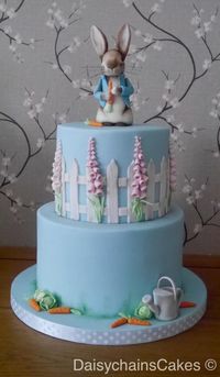 Peter Rabbit by Daisychain's Cakes