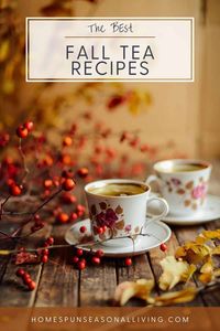 Brew yourself a cup of seasonal, hot tea with these tea blends featuring herbal, black, and green tea blends. More than 15 recipes from Autumn season ingredients.