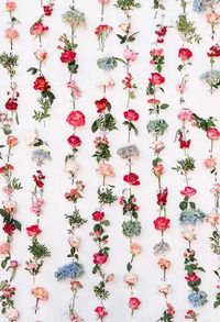 Flowers Backdrops Colorful Backgrounds S-3176   --Find flower backdrops diy and photo shoots in ibackdrop.