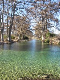 The Frio River In Fall