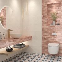 Martil Pink Porcelain Wall Tiles - 70 x 280mm