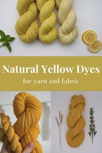 This article contains an overview of natural yellow dyes that can be used to dye both yarn and fabric. If you are planning to create a yellow colorway with natural dyes, you are in luck. Yellow is in fact the most common color you get when using natural dyestuff. There are quite a number of plants and natural materials you can use to dye yarn or fabric yellow. Let’s have a look at some options, shall we?