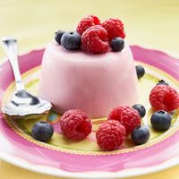 The creamy, vanilla taste that has made Panna Cotta one of Europe’s favourite desserts, is made even more delicious with the delicate flavour of Berries.