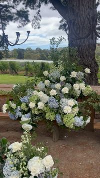 Blues and white hydrangea will always have my heart 💙🤍