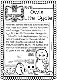 OWLS EASY READINGS AND WORKSHEETS (LIFE CYCLE -FLIP FLAPS AND MORE...) - TeachersPayTeachers.com