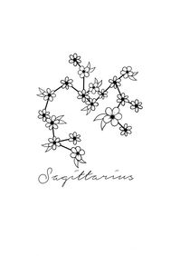 sagittarius constellation with a wild flower twist.