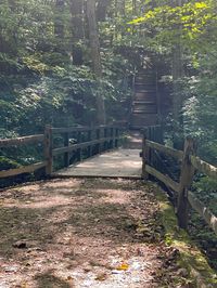 If you are searching for the wonderful animals in Ohio, a visit to Blendon Woods needs to be on your travel list! Here you can see lots of wildlife while you walk around the beautiful surroundings. There is also an 11 acre sanctuary for hundreds of varieties of birds and ducks! | Blendon Woods | Animals In Ohio | Franklin County Ohio