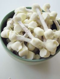 X for Xray week preschool "bones" snack: pretzel stick with mini marshmallows, dipped in white chocolate