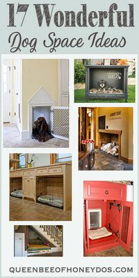 17 Wonderful Dog Space Ideas