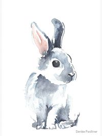 "Moon Rabbit II" Photographic Print by desines | Redbubble