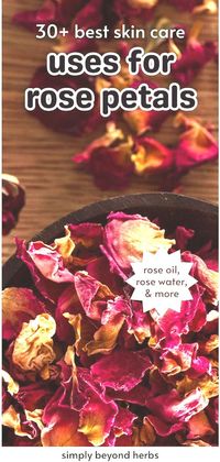 Unveil the secret to glowing skin with over 30 innovative ways to use rose petals in your skincare routine. These natural, rose-infused recipes promote a healthy, soothing effect on the skin, ideal for homemade skin care enthusiasts. Find more on rose recipes, rose petal recipes, and natural herbs for skin at simplybeyondherbs.com.