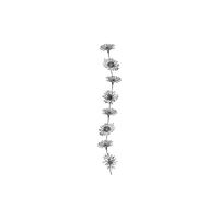 daisy chain drawing - Google Search