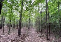 Escape to the serene life! There is so much to do in thr great outdoors of Virginia! This 20.96 acres is currently for sale! Take a peek at the video link and if this piques your interest, then maybe its time to chat! 