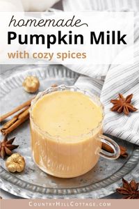 Step aside PSL, this creamy pumpkin spice milk is about to seduce your tastebuds. Made with real pumpkin, cozy spices, and a dreamy, whipped topping, this delicious pumpkin milk is sure to be a favorite fall drink. It tastes alike pumpkin pie in a mug and can be served as a hot pumpkin drink or enjoyed cold pumpkin smoothie. It’s essentially a pumpkin spice latte without coffee and great for kids. Serve it for breakfast, as a tasty snack, or nightcap before bedtime. | CountryHillCottage.com