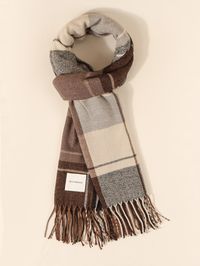 Multicolor Casual Collar  Fabric Plaid Scarf Embellished   Women Accessories