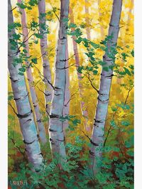 "Aspen Trees" Canvas Print by artsaus | Redbubble