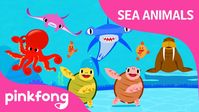 Move Like Sea Animals | Sea Animal Songs | Animal Songs | Pinkfong Songs for Children - YouTube