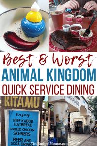 The Best Animal Kingdom Quick Service Dining (And The Worst) - The Budget Mouse