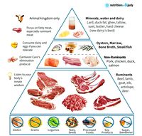 Ketogenic diet meal plan - Lion diet - Caveman diet - Nutrition - Meat diet - Diet food list