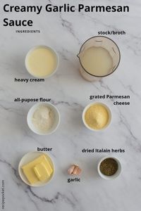 Creamy Garlic Parmesan Sauce | Recipe Pocket