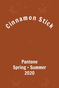 Pantone Cinnamon Stick #pantone #trends #color #ss2020