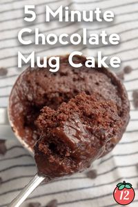 5-Minute Chocolate Mug Cake | 12 Tomatoes