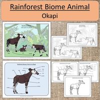 Rainforest Biome Animal: Okapi Study Montessori by Simply Learning Shop