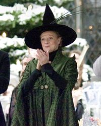 Minerva McGonagall's dress robes | Harry Potter Wiki | FANDOM powered by Wikia