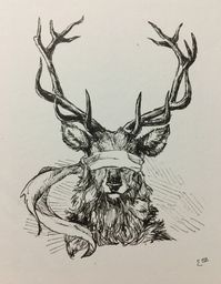 A blind stag