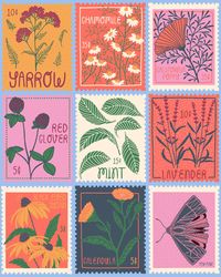 This illustration is inspired by vintage stamp collections, and native wildflowers. It is the perfect piece to hang in your living room, office, nursery, or gift to your wildflower-loving friend. This print is 8"x10". It is sold as an unframed print and comes packaged with a cardboard backing and tightly sealed in waterproof "plastic" packaging (it is actually compostable!) This illustration is printed on thick card stock and is ready to be framed to fit your style, or display it unframed for a