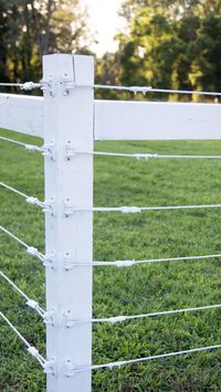  

Pro-Tek electric rope is RAMM's most affordable electric horse fencing system and is backed by a 12-year warranty.

Available in 656' rolls and it is very easy to install. With maximum UV protection and great visibility, Pro-Tek electric rope can be used as either a permanent or a temporary horse fencing system for rotational grazing, separating paddocks, and many other purposes.


 • Roll Length: 656'
 • Rail Diameter: 1/4"
 • Color: White
 • Break Strength: Up to 525 lbs. per rail
 • Material: 6 Stainless Steel Wires Woven with Polyethylene Fibers
 • Fence Type: Electric
 • Posts Compatibility: Wood, T-Posts, PVC, & Fiberglass
 • Warranty: 12-Year Limited Warranty

https://www.rammfence.com/fence/electric-horse-fence/electric-rope/electric-rope-rolls/pro-tek-electric-rope

