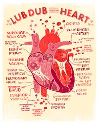 Lub Dub goes the Heart :anatomy poster