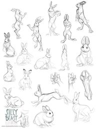 Bear concepts by Therese Larsson, via Behance - The Hare and Bear campaign drawings