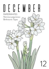 For your favorite December babe! Birth Month Flower: Paperwhites | Birthstone: Topaz IS THIS CARD A GIFT? No problem. Let us know in the notes at checkout, and we can write a message in the card if you'd like. Curbside Pickup: FreeShipping: Available in the Contiguous USDelivery: Rates are based on distance from Studio City Shop (calculated at checkout). Order min. starts at $75 and increases with distance. Please place same-day delivery orders before 2 pm. Deliveries arrive Mon- Sat by 7 pm. No