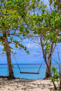 Apo Island is a small, pristine island surrounded by calm and clear waters. It is perfect for underwater activities such as snorkeling and diving; it has even been rated as one of the best dive sites in the world.