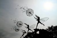 While fairies may be mythical creatures, a talented sculptor has managed to create stunning sculptures of the winged beings that practically look like they could come to life at any moment. UK based sculptor Robin Wight, who mainly works with stainless steel wire, creates amazingly enchanting fairy sculptures, many of which seem to be dancing …