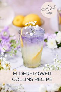 Experience the refreshing taste of summer with our elderflower collins cocktail recipe. Made with Empress gin, elderflower liqueur, fresh lemon juice, and soda water, this drink is the perfect blend of floral and citrusy notes. Quick and easy to make, it's the ideal cocktail for any summer occasion.