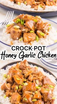 Crock Pot Honey Garlic Chicken! An easy Asian-inspired slow cooker chicken recipe with honey and garlic similar to Bourbon Chicken the whole family will love!