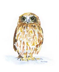 Owl Watercolor Painting Giclee Print 8 x 10 by SusanWindsor