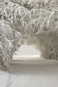 **Beautiful snowfall