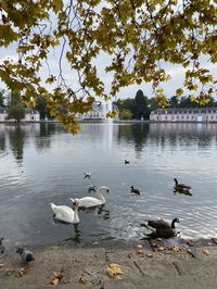 Düsseldorf, Benrath