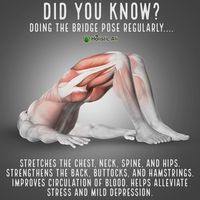 Do you do the bridge pose? Lying on your back, bend both knees and place the feet flat on the floor hip width apart. This is just the start! The benefits of this exercise are endless and here we have created an article with this, and many more exercises t