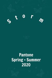 Pantone Storm