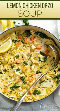 This Lemon Chicken Orzo Soup truly is a year round recipe! It's creamy and comforting yet also has a lemony zest flavor that works during the summer!