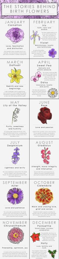 Discover the meaning of your 'floral zodiac,' or the bloom associated with the month you were born. It may tell you a lot about your personality.