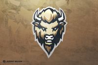 Personal project of a sports style Buffalo mascot. Feedback appreciated as always.