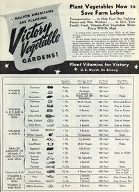 WWII Victory gardens from the 1940s: How people planted them, and how you can grow your own even now 14