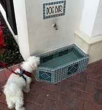 What a GREAT way to give the dogs fresh water!!