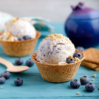 Ace Blender - Blueberry Cheesecake Ice Cream - Instant Pot Recipes